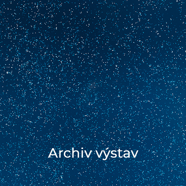 Archiv výstav