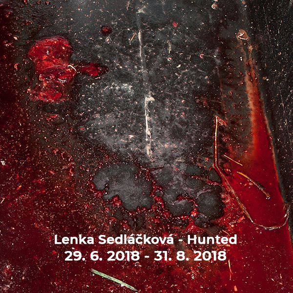 Lenka Sedláčková – Hunted