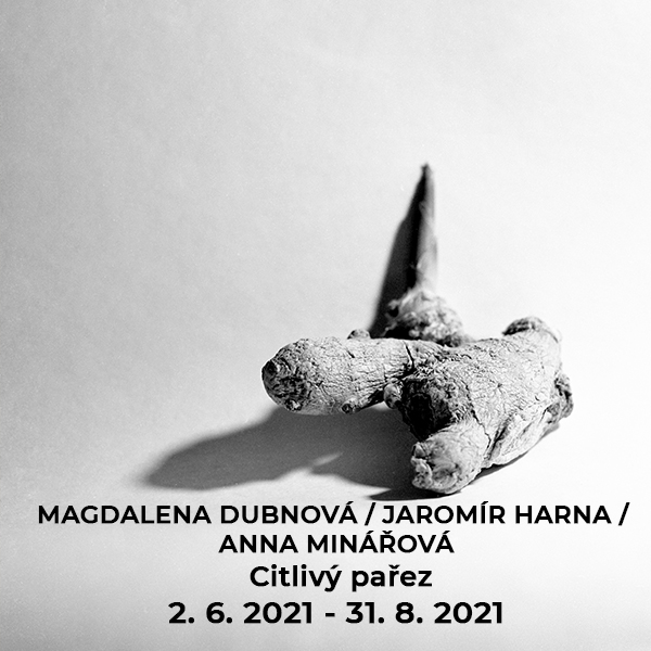 MAGDALENA DUBNOVÁ / JAROMÍR HARNA / ANNA MINÁŘOVÁ / CITLIVÝ PAŘEZ