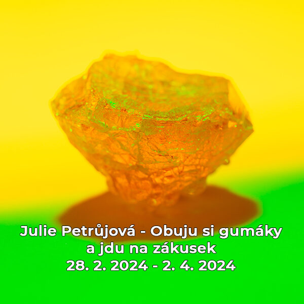 Julie Petrůjová – Obuju si gumáky a jdu na zákusek