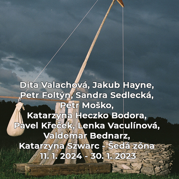 Dita Valachová, Jakub Hayne, Petr Foltýn, Sandra Sedlecká, Petr Moško, Katarzyna Heczko Bodora, Pavel Křeček, Lenka Vaculínová, Valdemar Bednarz, Katarzyna Szwarc – Šedá zóna